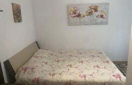 Pensiune + Restaurant + afacere la cheie Broșteni, SV