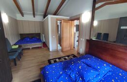 Casa vacanta 5 camere Paltinoasa, zona excelenta, in circuit turistic!