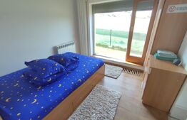 Casa vacanta 5 camere Paltinoasa, zona excelenta, in circuit turistic!