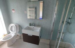 Casa vacanta 5 camere Paltinoasa, zona excelenta, in circuit turistic!