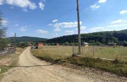 Casa vacanta 5 camere Paltinoasa, zona excelenta, in circuit turistic!