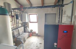 Casa vacanta 5 camere Paltinoasa, zona excelenta, in circuit turistic!