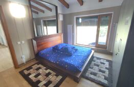 Casa vacanta 5 camere Paltinoasa, zona excelenta, in circuit turistic!