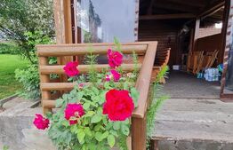 Casa vacanta 5 camere Paltinoasa, zona excelenta, in circuit turistic!