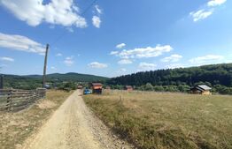 Casa vacanta 5 camere Paltinoasa, zona excelenta, in circuit turistic!