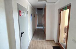 Casa vacanta 5 camere Paltinoasa, zona excelenta, in circuit turistic!