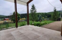 Casa vacanta 5 camere Paltinoasa, zona excelenta, in circuit turistic!