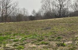 Casa individuala +Teren 4600 mp-Siret