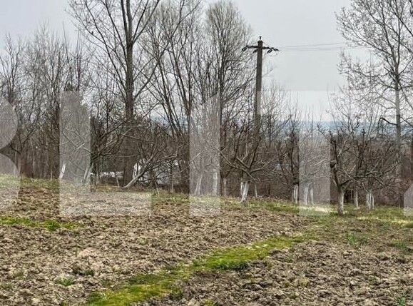 Casa de vânzare 4 camere Siret - 154577CV | BLITZ Suceava | Poza13