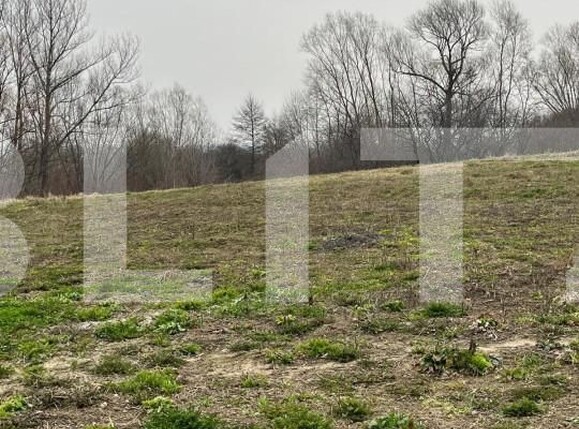 Casa de vânzare 4 camere Siret - 154577CV | BLITZ Suceava | Poza14