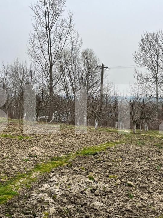 Casa de vânzare 4 camere Siret - 154577CV | BLITZ Suceava | Poza13