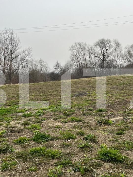 Casa de vânzare 4 camere Siret - 154577CV | BLITZ Suceava | Poza14