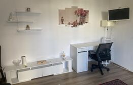 Vânzare apartament Vatra Dornei 32 mp