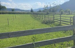 Vânzare teren 385 mp, Dorna Arini