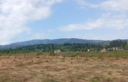 Vânzare teren 3850 mp Panaci