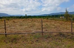 Vânzare teren 3850 mp Panaci