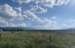 Vânzare teren 3850 mp Vatra Dornei