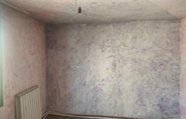 Casa ultracentrala,640 mp, Siret