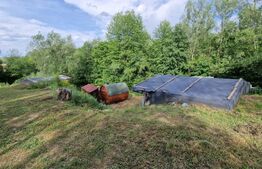 Casa batraneasca si doua casute ingropate, investitie, zona Cacica