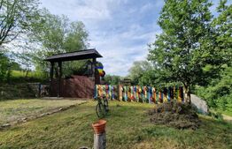 Casa batraneasca si doua casute ingropate, investitie, zona Cacica