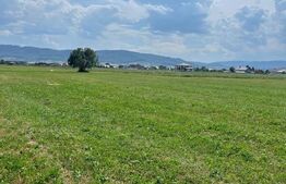 Teren extravilan,5200 mp.Vicovu de Sus