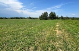 Teren extravilan,5200 mp.Vicovu de Sus