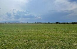 Teren extravilan,5200 mp.Vicovu de Sus