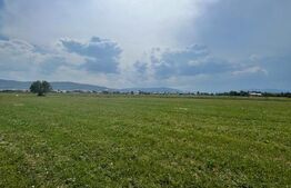 Teren extravilan,5200 mp.Vicovu de Sus