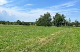 Teren extravilan,5200 mp.Vicovu de Sus