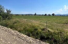 Oportunitate de investitie!! Teren extravilan,4000 mp, Vicovu de Sus