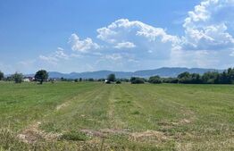 Oportunitate de investitie!! Teren extravilan,4000 mp, Vicovu de Sus