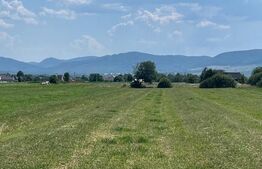 Oportunitate de investitie!! Teren extravilan,4000 mp, Vicovu de Sus