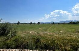 Oportunitate de investitie!! Teren extravilan,4000 mp, Vicovu de Sus