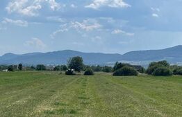 Oportunitate de investitie!! Teren extravilan,4000 mp, Vicovu de Sus