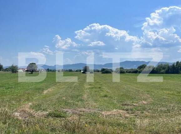 Teren de vânzare Radauti - 155098TV | BLITZ Suceava | Poza3