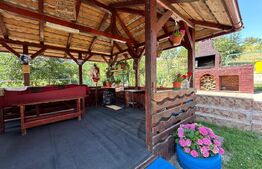 Casa individuala , garaj , teren 3500 mp , zona Adancata 