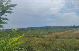 Teren extravilan, 2370 mp, Siret la E85