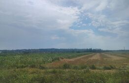 Teren extravilan, 2370 mp, Siret la E85