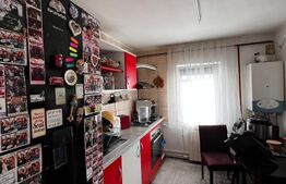 Apartament 2 camere, 48mp, zona Zamca