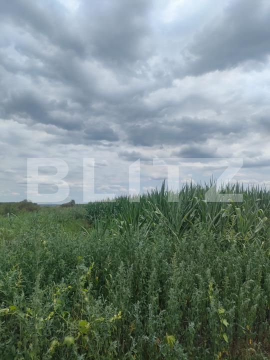 Teren de vânzare Radauti - 155410TV | BLITZ Suceava | Poza1