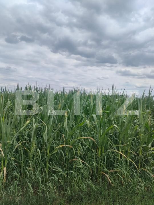 Teren de vânzare Radauti - 155410TV | BLITZ Suceava | Poza2