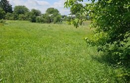 Casă de vânzare, teren 2.200 mp - în Boroaia