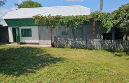 Casă de vânzare, teren 2.200 mp - în Boroaia