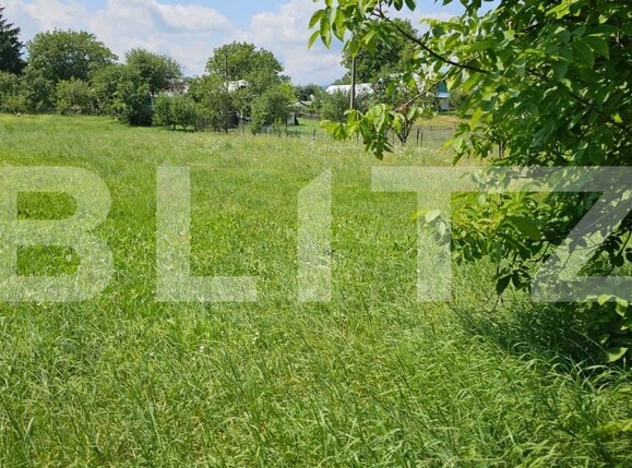 Casa de vânzare 2 camere Falticeni - 155463CV | BLITZ Suceava | Poza9