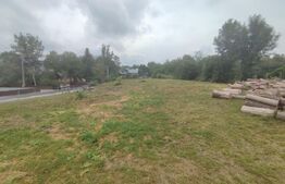 Casa 4 camere, 2610 mp teren, zona Solca, Radauti