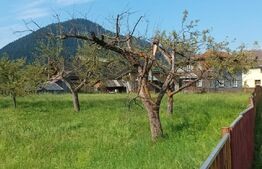 Casă 6 camere - Câmpulung Moldovenesc