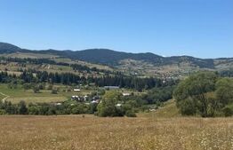 Teren extravilan,  5 hectare, Șaru Dornei 