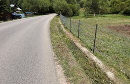 Teren extravilan,  5 hectare, Șaru Dornei 