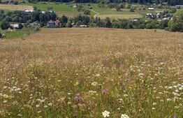 Teren extravilan,  5 hectare, Șaru Dornei 