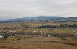 Teren extravilan,  5 hectare, Șaru Dornei 